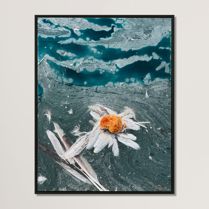 Nature Abstraction