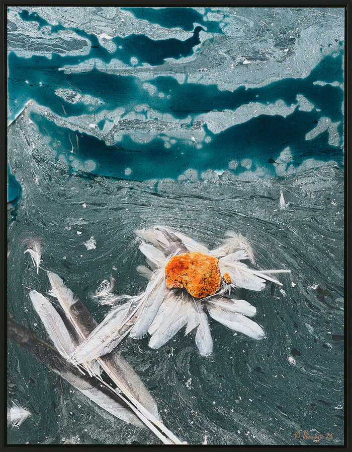 Vandblomst