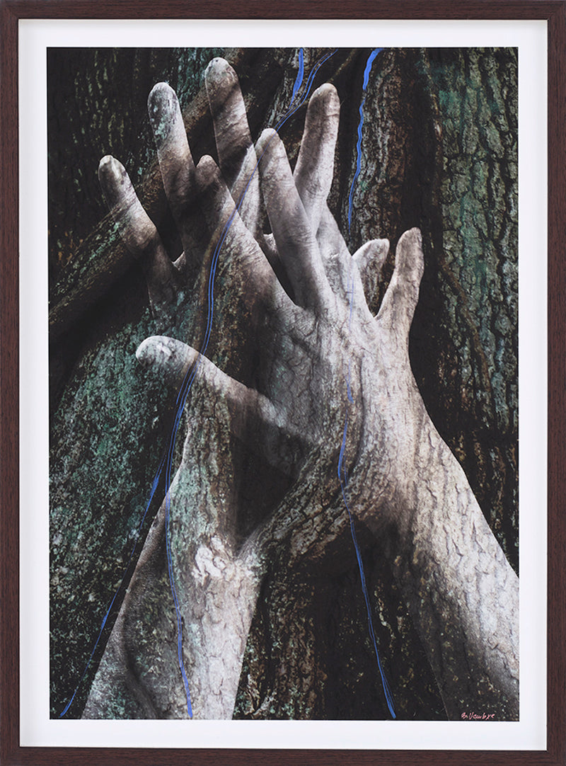 Fotokunst hænder der smelter sammen med grene.