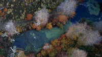 Tørklæde Marselisborgskoven grøn sø
