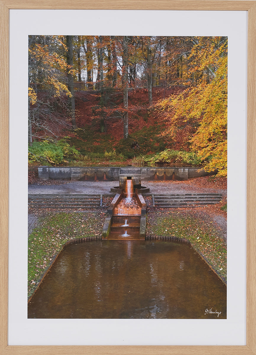 Arnakkekilden Silkeborg Bad leverer vand til Carlsberg. Gyldne efterårsfarver i skoven, i forgrunden ses kilden med sine naturlige okkerfarver.